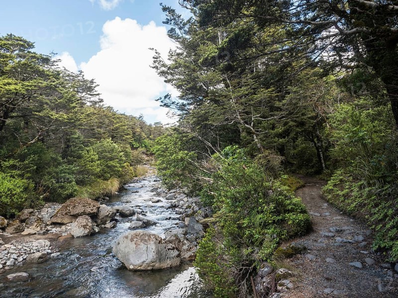 Taranaki Falls Track