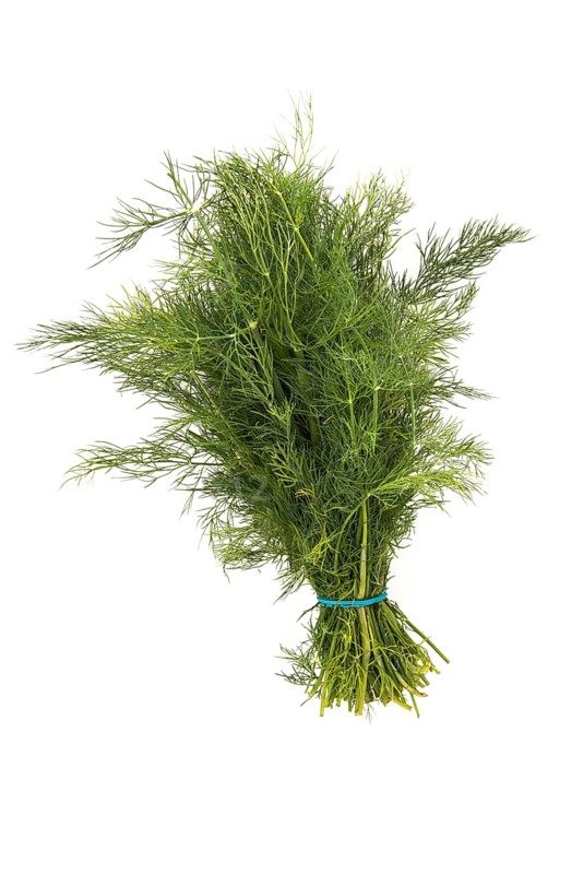 Dill