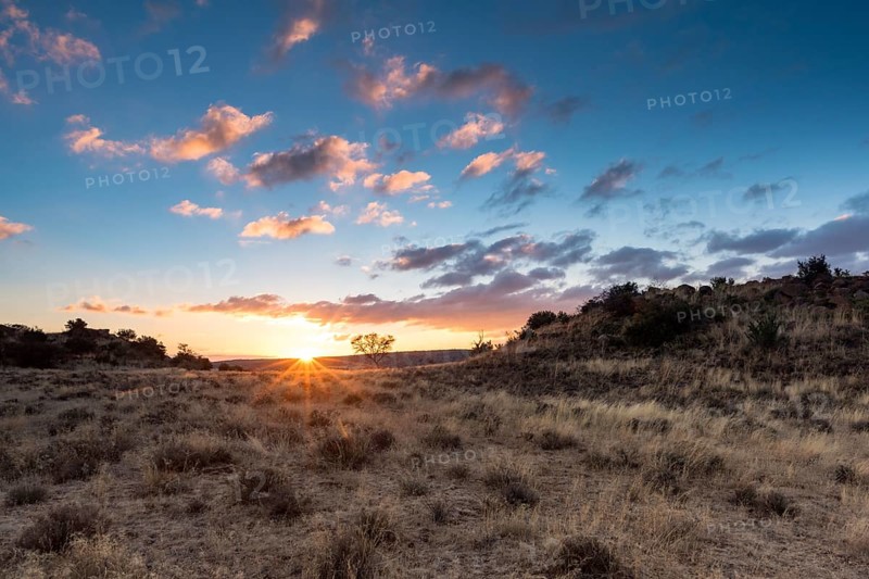 Sunset over Tiger Canyon Farm