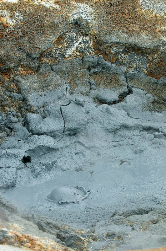 Bubbling mud spring in the Hveraroend geothermal area