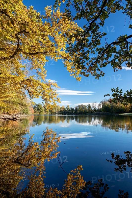Autumn trees on the shore of the Lengwil pond