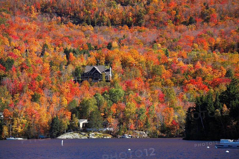 Autumnal landscape