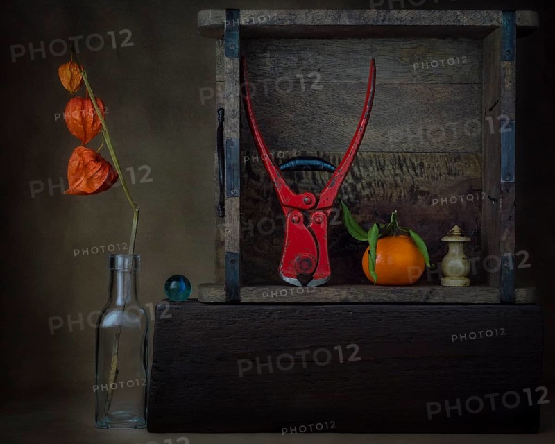 Still life with physalis in glass bottle