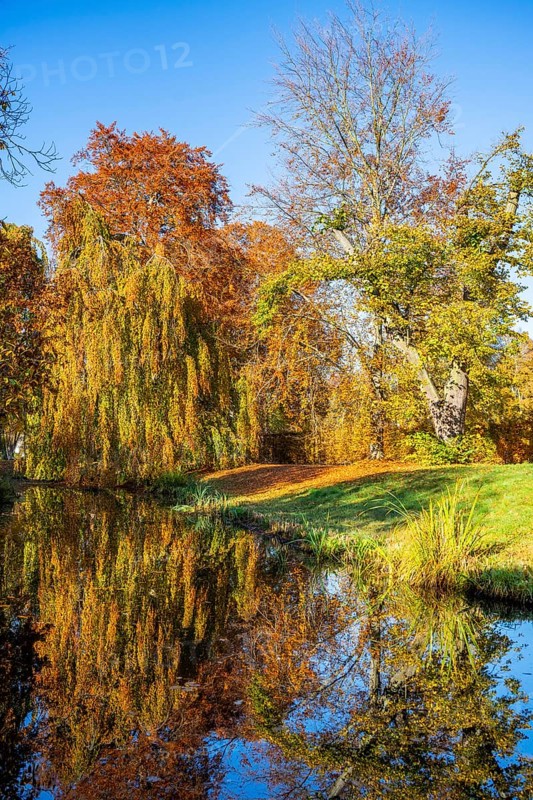 Water channel in the Marly Garden in autumn