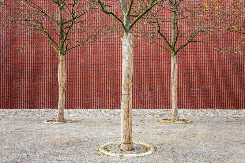 Brick facade with trees Museum Kueppersmuehle