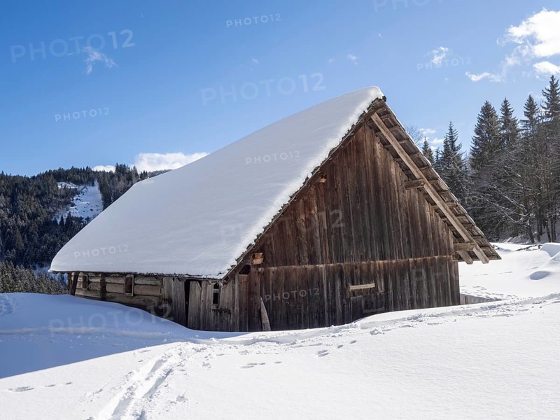 Winter landscape