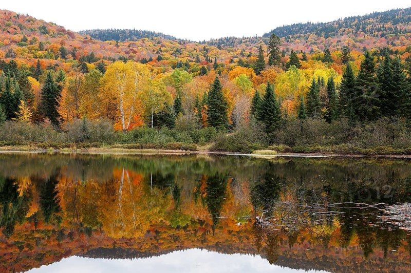 Autumnal landscape