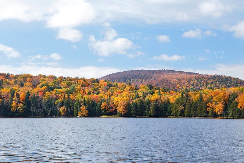 Autumnal landscape
