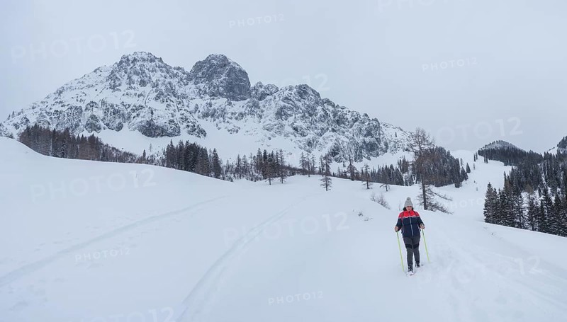 Winter landscape