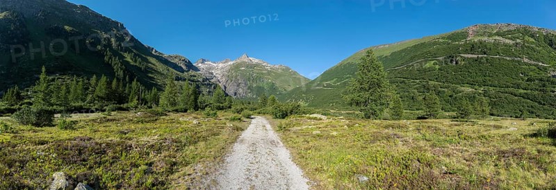 Landscape of the Rhone valley near the hamlet of Gletsch
