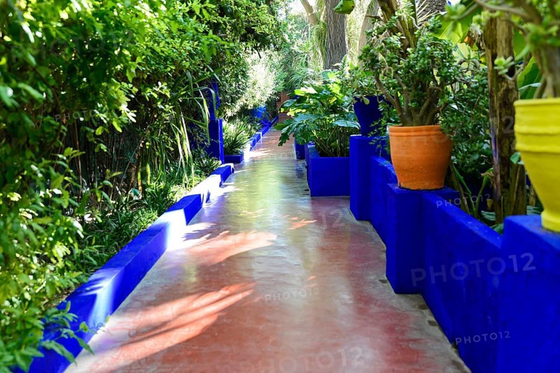Jardin Majorelle