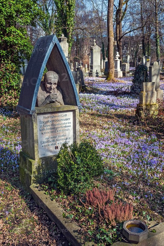 South cemetery with a caretaker's grave and crocuses