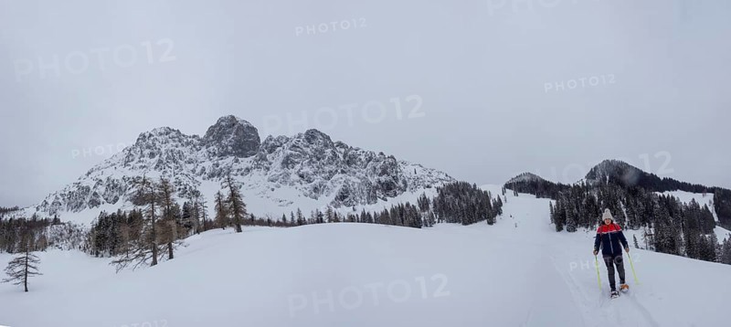Winter landscape