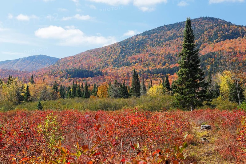 Autumnal landscape