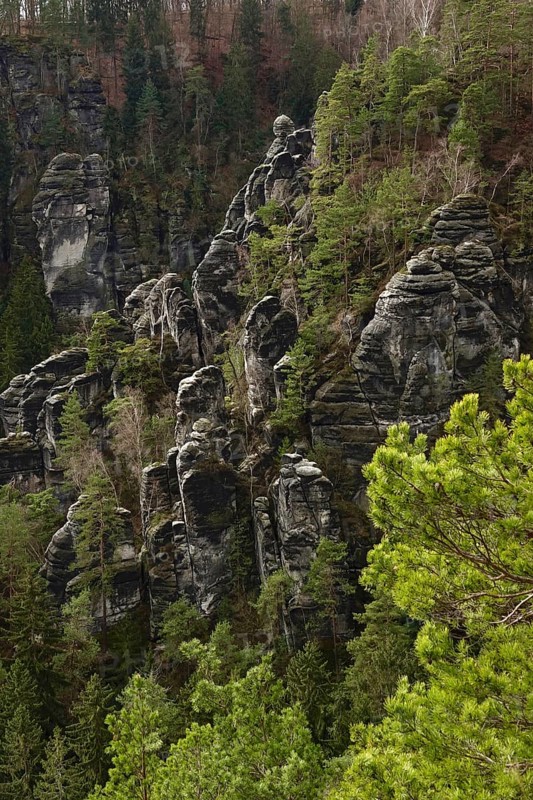 Elbe Sandstone Mountains