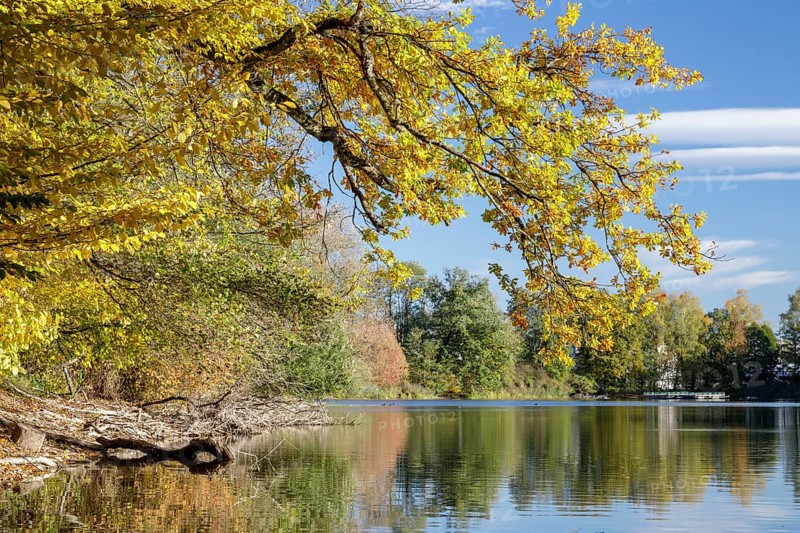 Autumn trees on the shore of the Lengwil pond