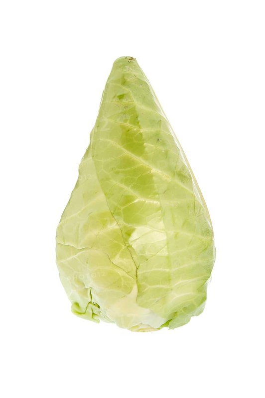 Pointed cabbage or pointed cabbage