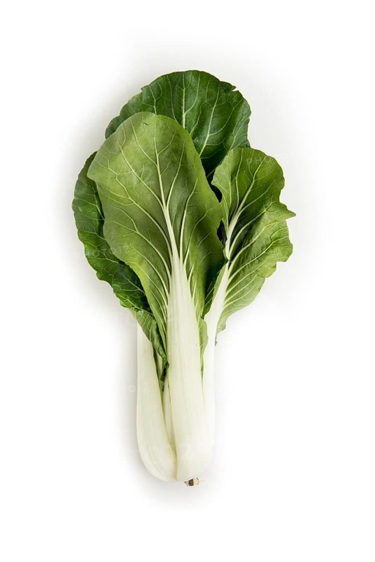 Pak choy Pak Choi
