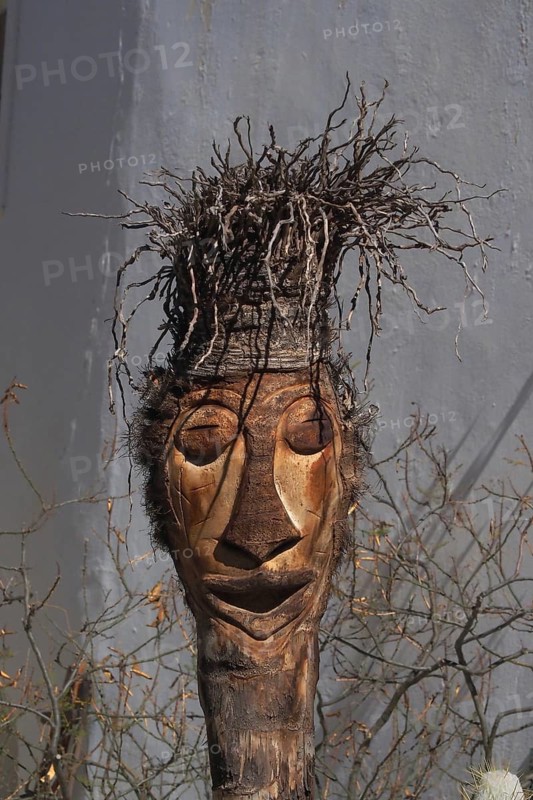 Carved head from branch of a palm tree