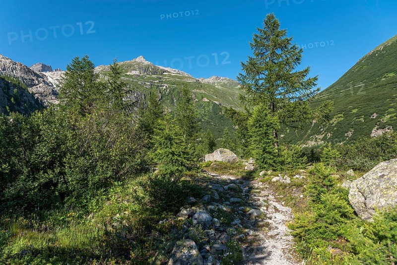 Landscape of the Rhone valley near the hamlet of Gletsch