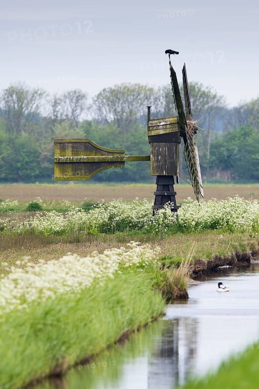 Scoop Mill