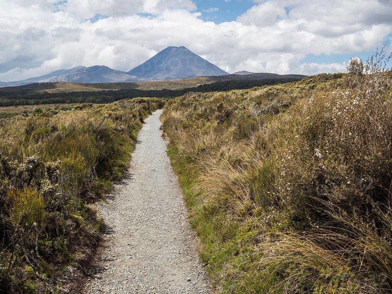 Taranaki Falls Track