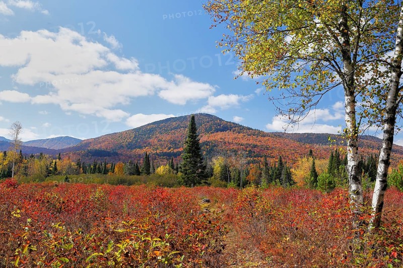 Autumnal landscape