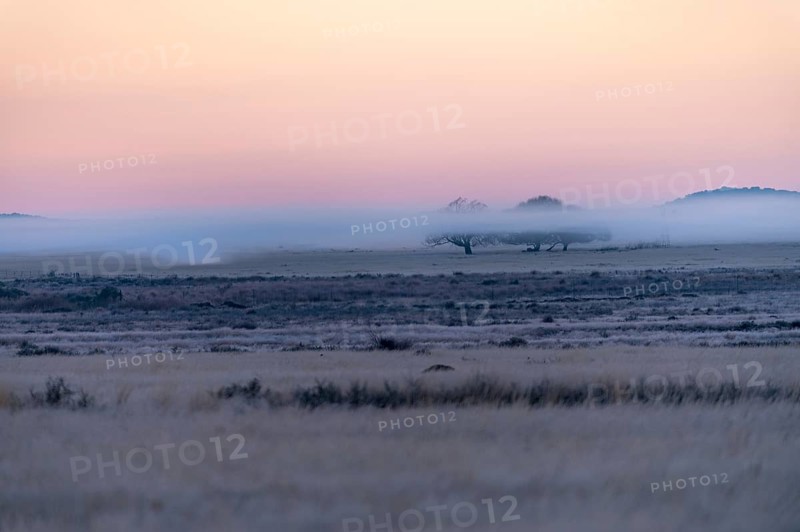 Morning mist at Tiger Canyon Farm