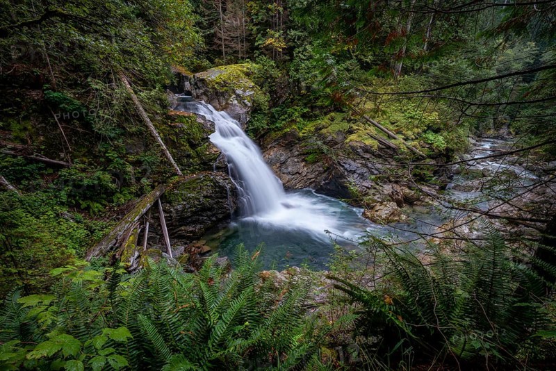 Small waterfall in a forest with dense vegetation