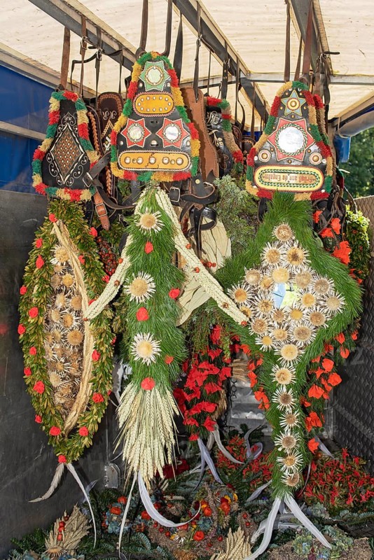 Headdress for cows at the Almabtrieb hanging in a horse trailer