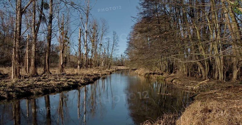 Sunny winter day in the Nuthe-Nieplitz nature Park near Stangenhagen