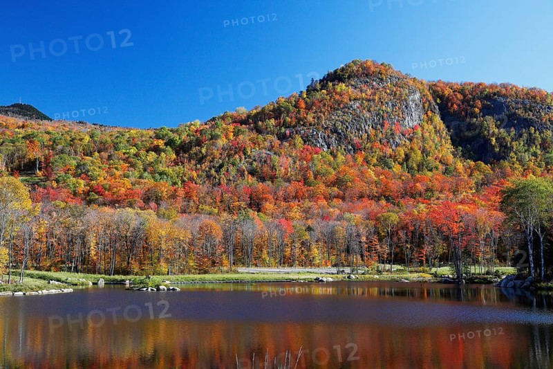 Autumnal landscape