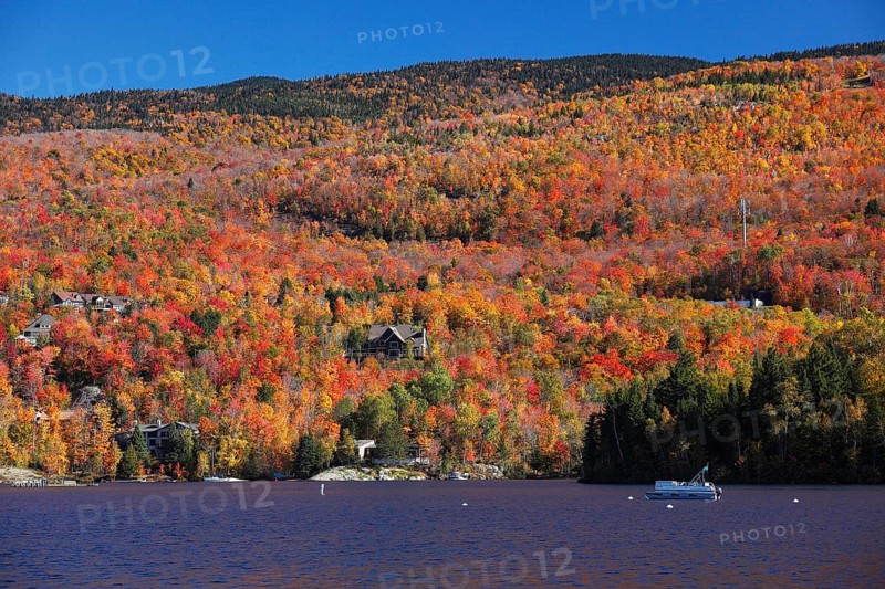 Autumnal landscape