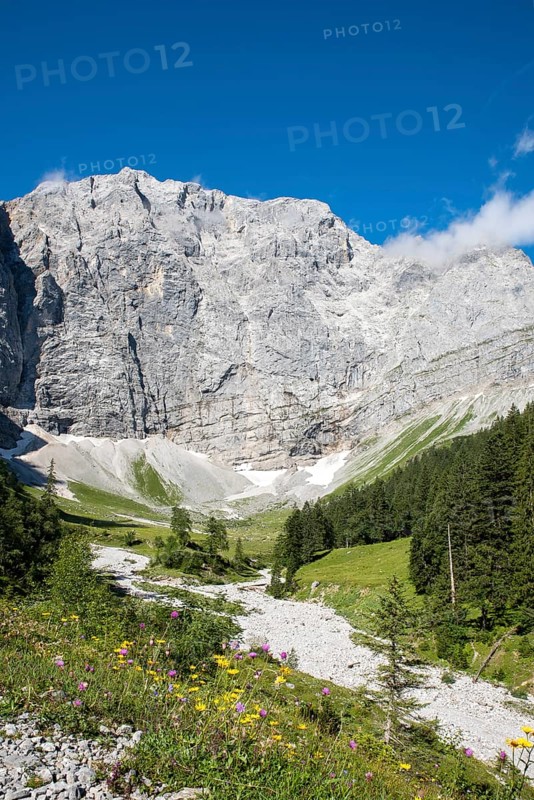 Enger Grund pasture area with dried-up stream bed of the Rissbach