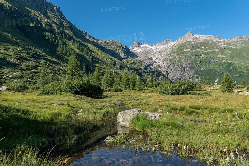 Landscape of the Rhone valley near the hamlet of Gletsch