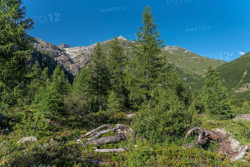 Landscape of the Rhone valley near the hamlet of Gletsch