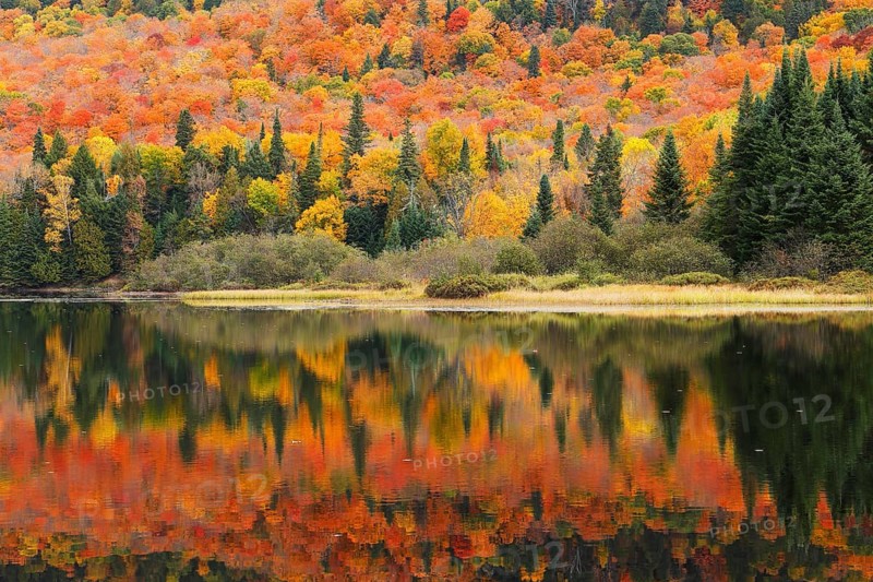 Autumnal landscape