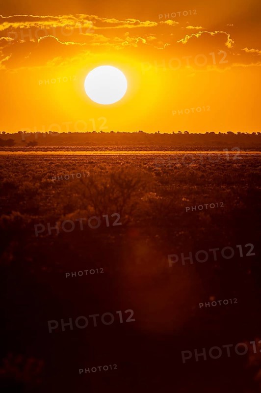 Sunset in the Central Kalahari Game Reserve