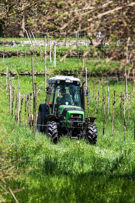 Farmer with his tractor at work among the vineyards on the hillside
