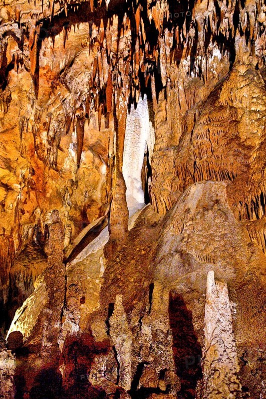 Grotta del Fico