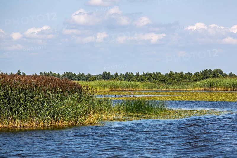 Marshland Memel-Delata