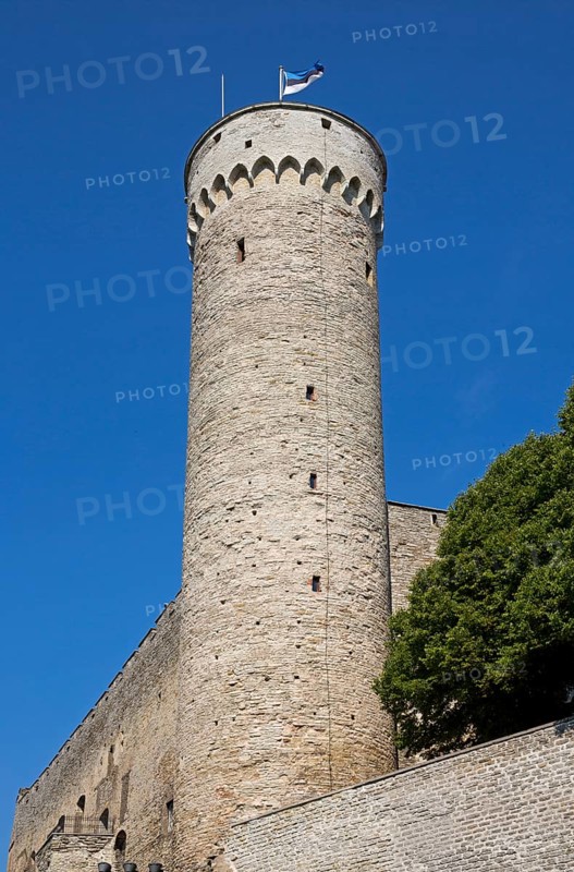 Tower of the Castle on Domberg