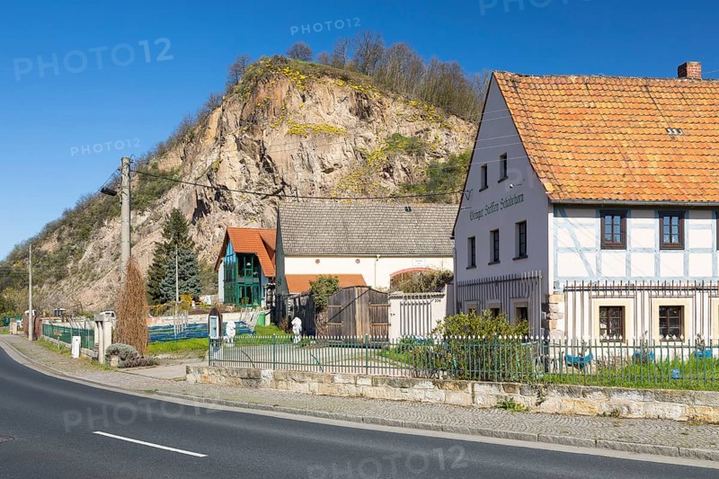 Historic wine cellar Zur Alten Bosel and Schabeborn Winery