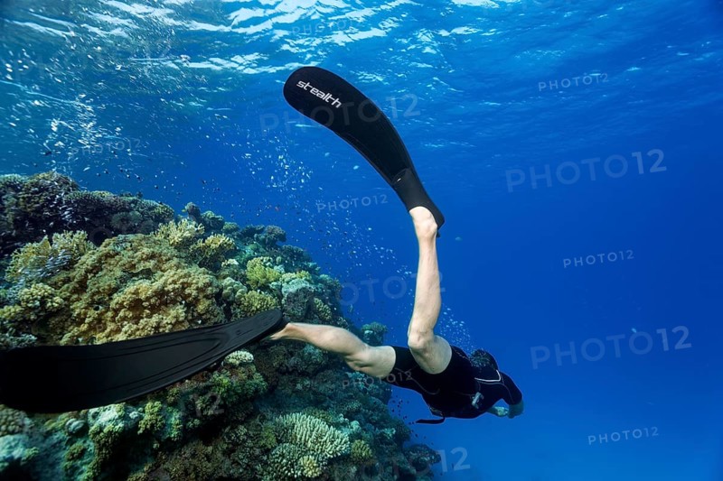 Apnoea diver