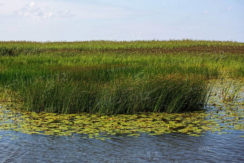 Marshland Memel-Delata