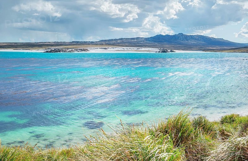 Seal bay