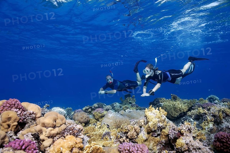 Apnoea diver