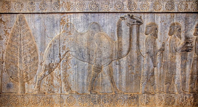 Relief detail of the delegation of nations bringing gifts to Darius on the steps of Apadana Palace
