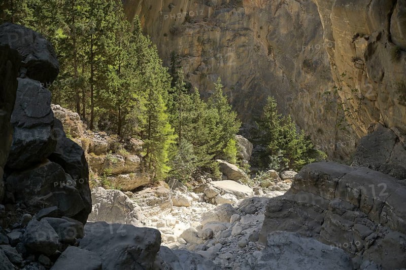 Hiking trail