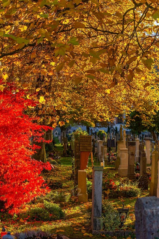 Old cemetery